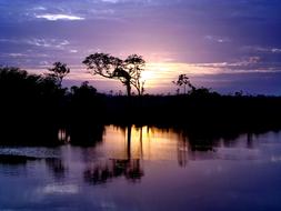 The River Demerara in Gayana