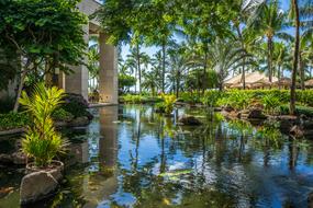 Beautiful landscape with the pool, among the colorful plants, in the resort