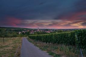 Beautiful landscape of the path, among the colorful plants, near the village, at colorful and beautiful sunset with clouds
