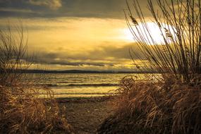 Lake Constance in Immenstaad at Sunset