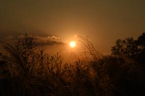Beautiful and colorful Sun at sunset, among the clouds, on the view behind the plants