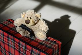 Teddy Bear on Suitcase