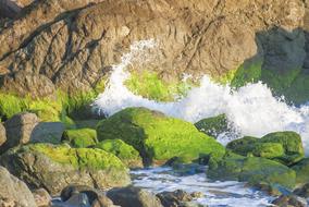 Ocean Rock Coast close-up