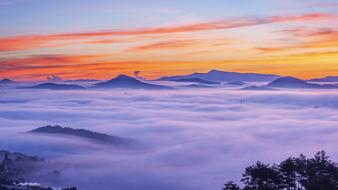 Sea Mist Sky Dawn
