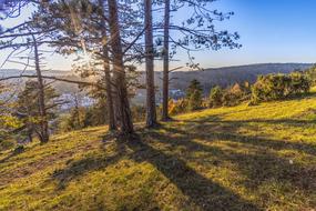 shadows from trees in an idyllic landscape