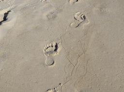 Footprints In The Sand