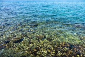 Beautiful and colorful, clear water of the sea, with stones
