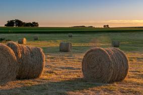 straw bales on Fields at Sunset