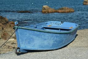 Blue Boat Rowing