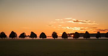 Beautiful landscape with trees behind the field, at colorful and beautiful sunrise with clouds