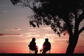 couple under a tree against a pink sunset
