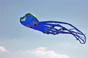 Berck-Plage Kite Beach
