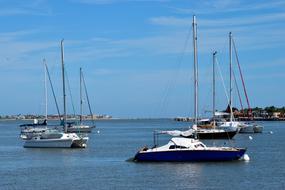 sailboats at sea in St. Augustine, Florida