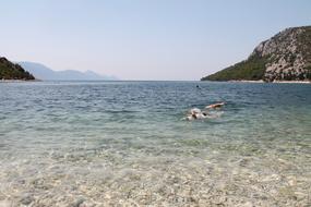 The Nature Of Summer Horizon