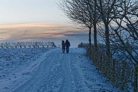 People walking on the beautiful, snowy road among the plants, at colorful and beautiful sunset, in the winter