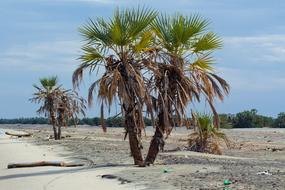 Sand Beach Seashore