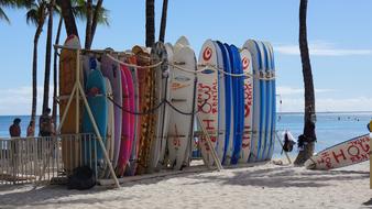 surfboards on Sand Beach Sea
