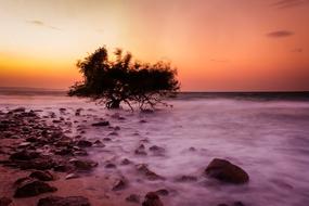 pink sky over purple beach, thailand, koh larn