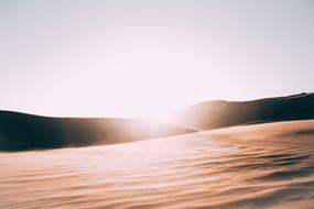 Barren Bright Dawn
