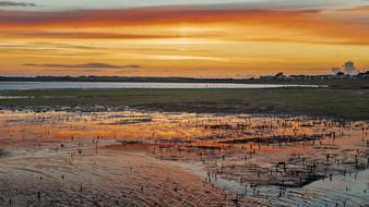 orange twilight over the coastal nature