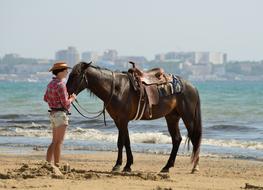 girl with brown horse on the beach