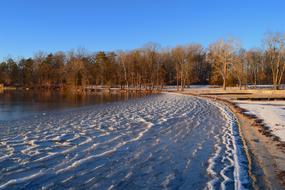 Frozen Lake and Trees on coast