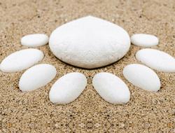 pebbles in the sand as a white flower