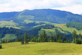 Nature Carpathians Mountain