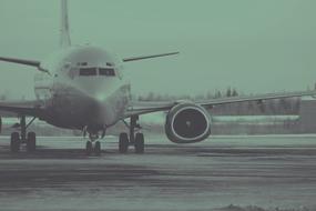 Plane at the airport, near the trees, in green colors