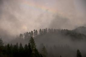Dawn Dusk Fog