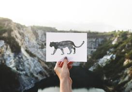 Person holding paper with panther shape, near the beautiful mountains with green plants