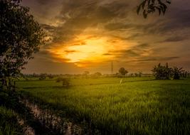 Beautiful landscape of the fields, among the trees, at colorful and beautiful twilight among the clouds