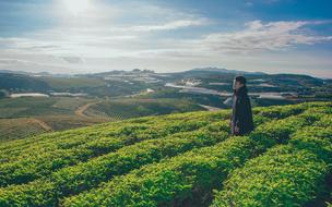 man on a green plantation in a picturesque landscape