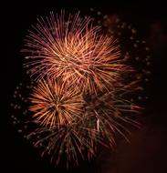bunch of red Fireworks at black sky