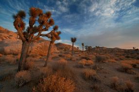 Arid Barren Boulders