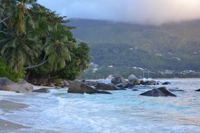 landscape of Seychelles Beach Sea