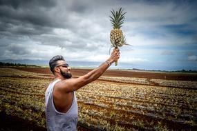 Bearded, laughing man in sunglasses holding beautiful pineapple in hand, on the beautiful landscape of the field, under the clouds