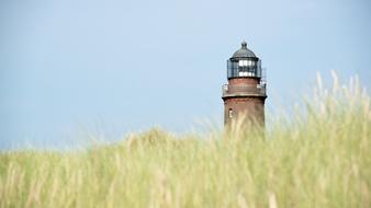 grass around the lighthouse on the baltic sea