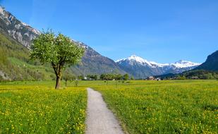 Hiking Alpine Landscape