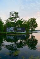 House Lake Trees