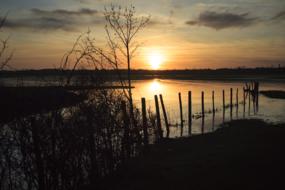 Sunset Body Of Water Marsh