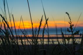Sunset Sky Seashore