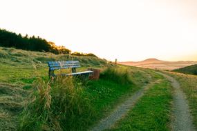 bench by the road to the pasture