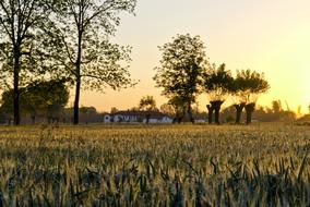 Dawn Sunset countryside Landscape