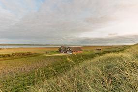 Dunes Denmark Nature North