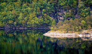 Beautiful landscape of the lake shore with colorful plants, in the fjord in Norway