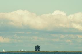 Beautiful and colorful landscape with the tree, on the shore of the Baltic Sea, under the clouds