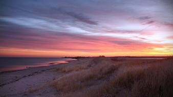 pink Sunset Nature