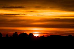 Beautiful landscape with silhouettes of the plants, at beautiful and colorful sunset with clouds