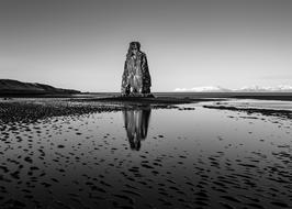 Beautiful, black and white landscape with the rocks on the coast of Iceland